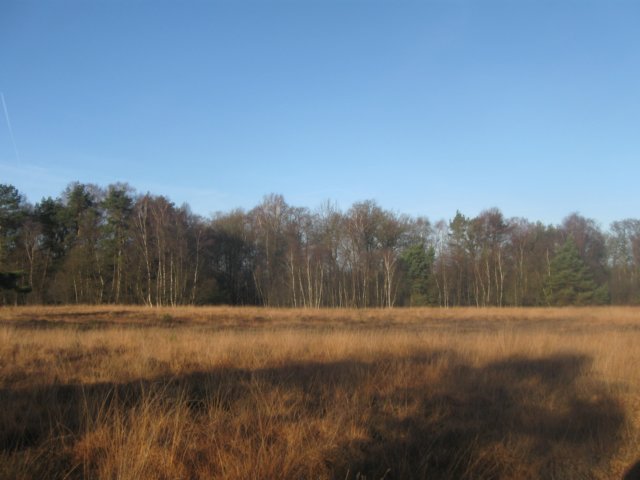 img_7155.jpg