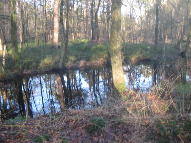 img_7168.jpg