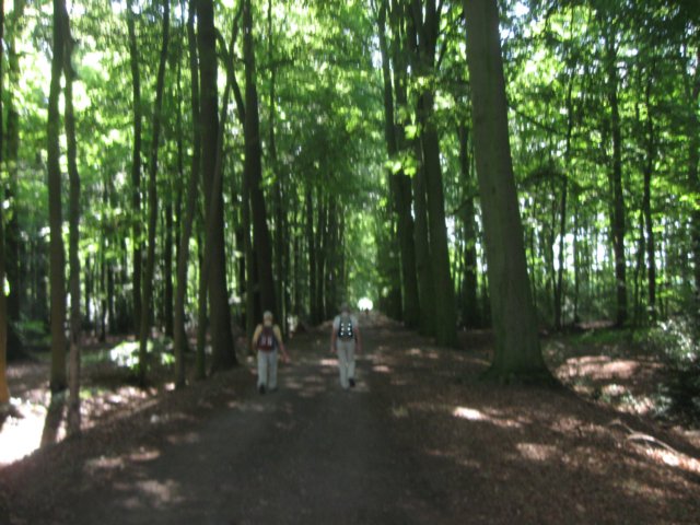 img_3091.jpg