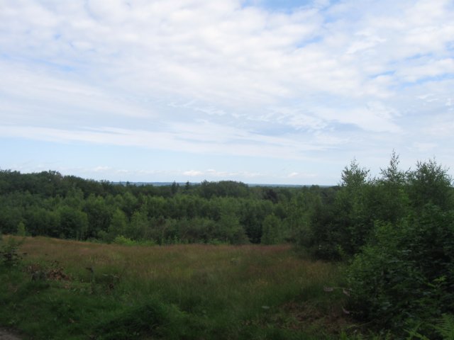 img_3114.jpg