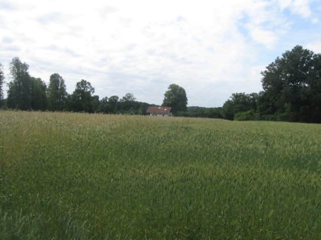img_3118.jpg
