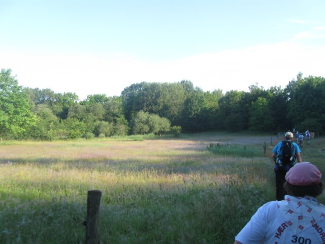 img_3172.jpg