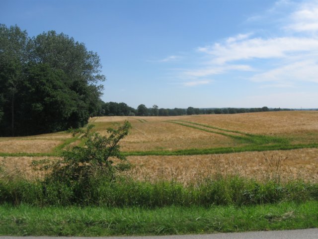 img_3269.jpg