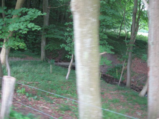 img_3359.jpg