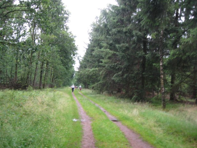 img_3387.jpg