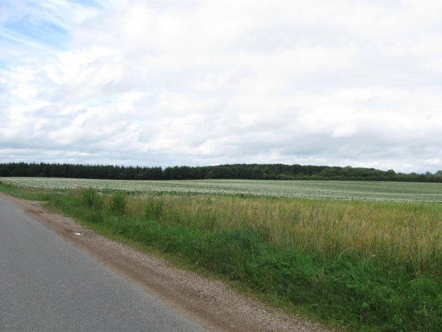 img_3581.jpg