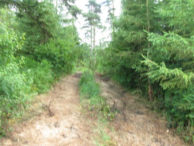 img_3594.jpg