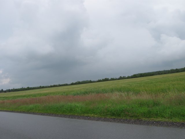 img_3730.jpg