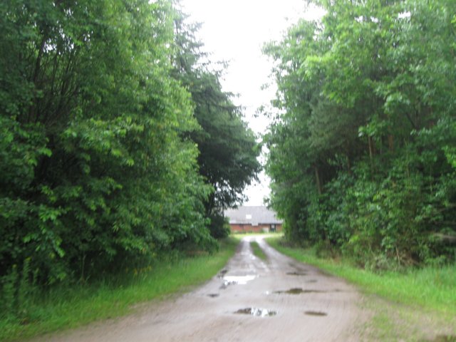 img_3740.jpg