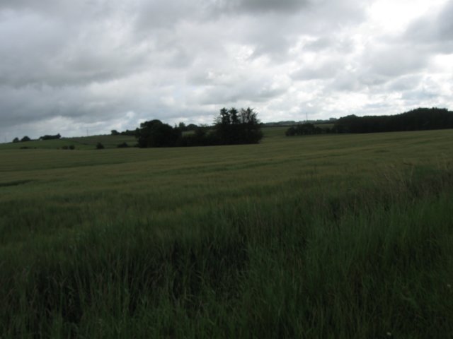 img_3815.jpg