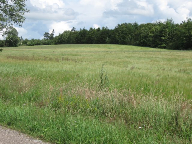 img_3893.jpg