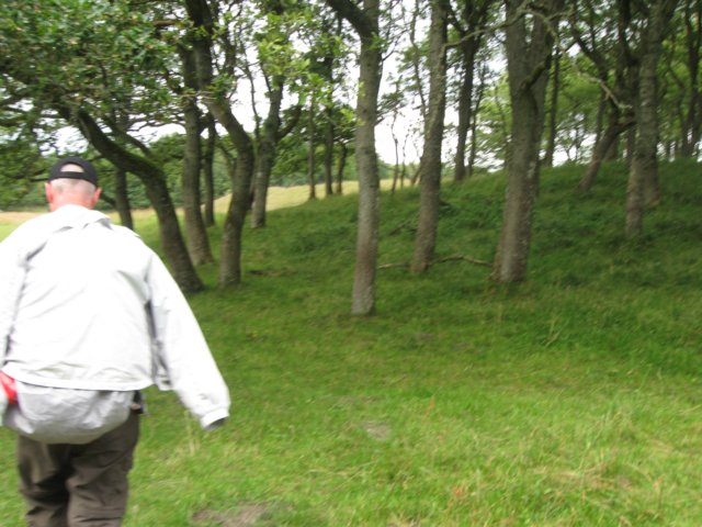 img_3939.jpg