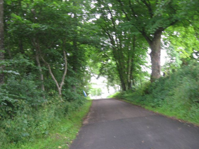 img_4014.jpg