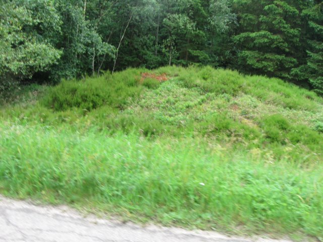 img_4018.jpg
