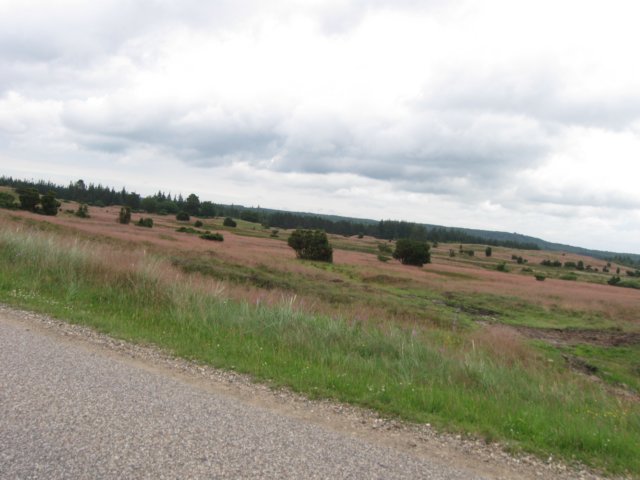img_4040.jpg