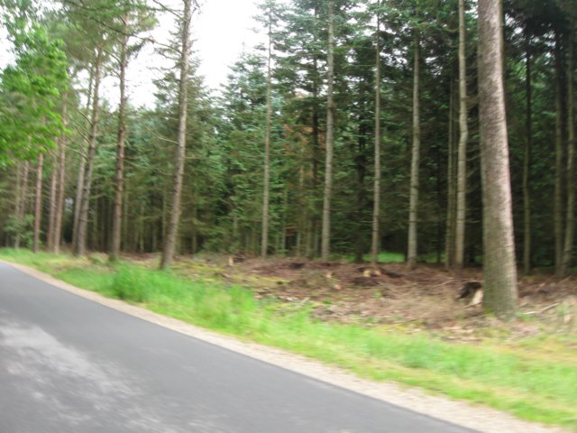 img_4069.jpg