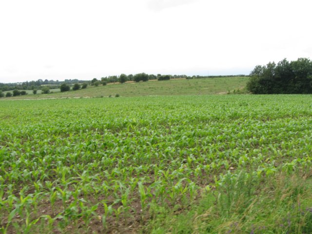 img_4075.jpg