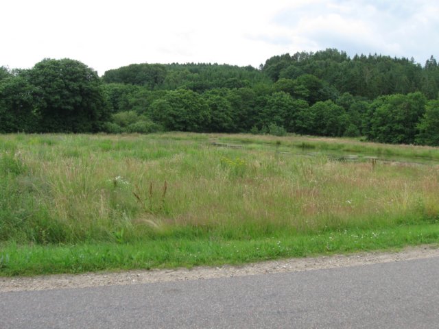 img_4110.jpg