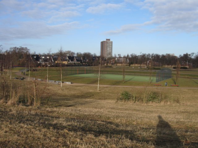 img_8338.jpg