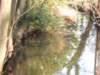 img_8390_small.jpg