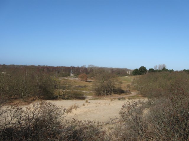 img_8416.jpg