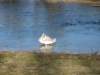 img_8427_small.jpg