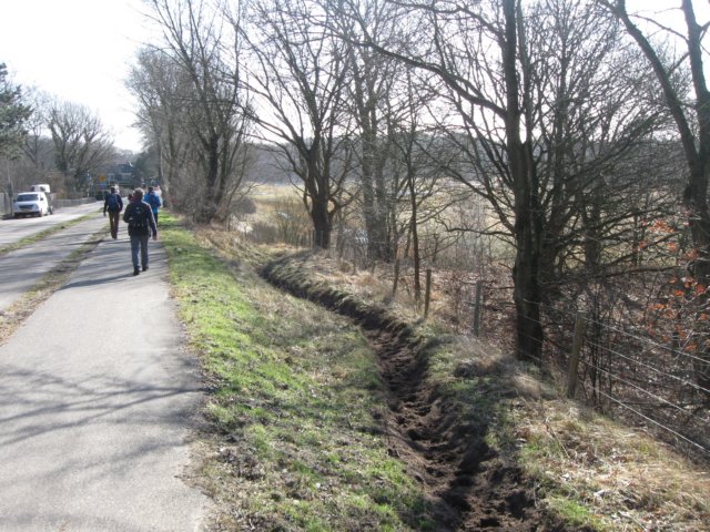 img_8441.jpg