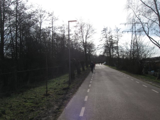 img_8541.jpg
