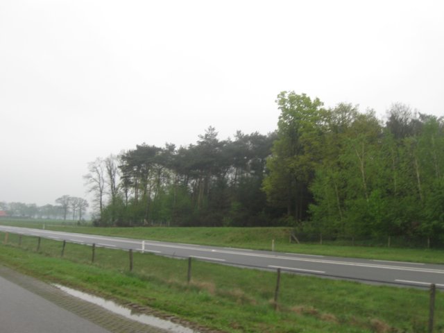 img_0895.jpg