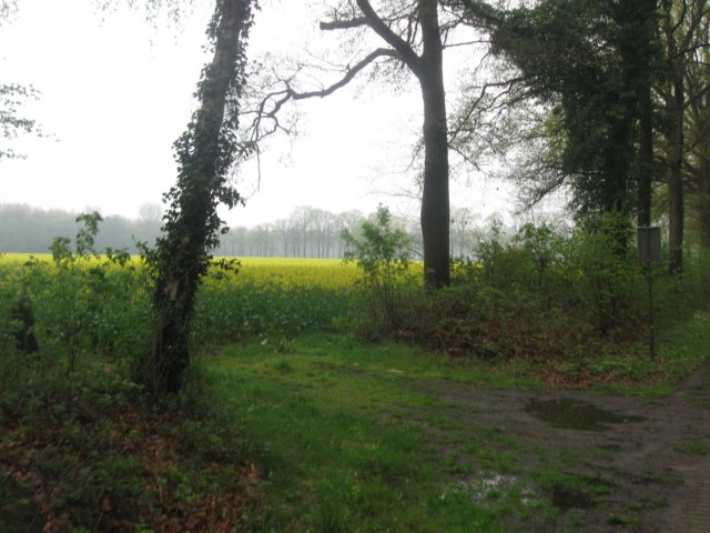 img_0910.jpg