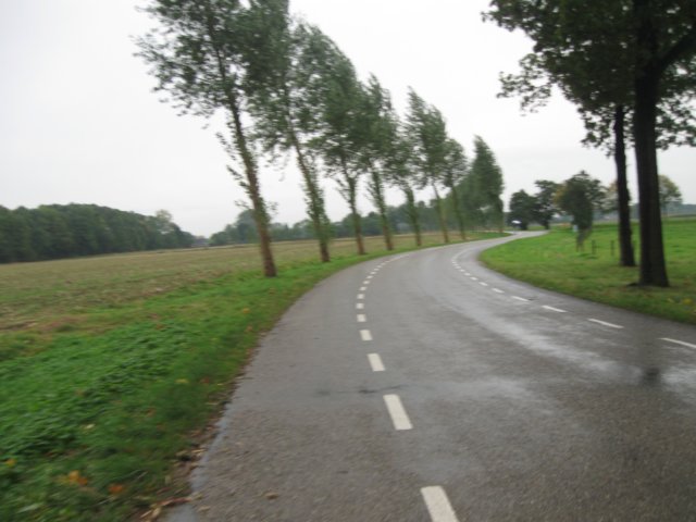 img_6259.jpg