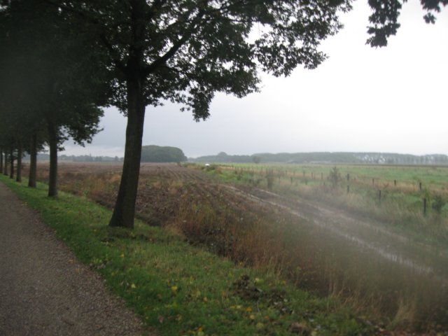 img_6264.jpg