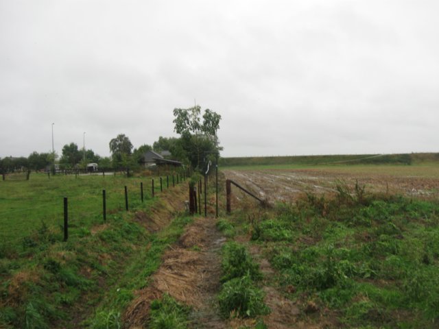 img_6278.jpg