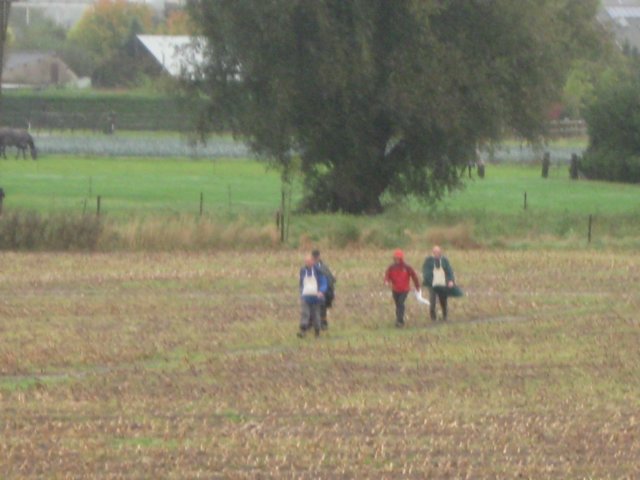 img_6314.jpg