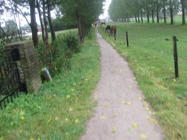 img_6321.jpg