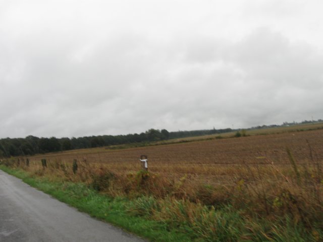 img_6336.jpg