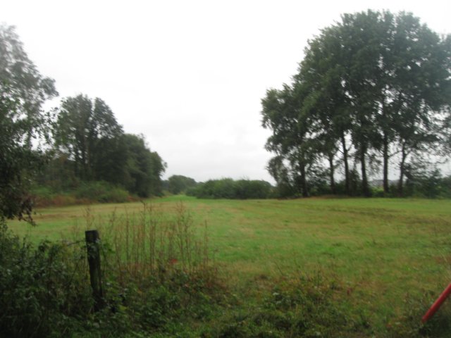 img_6338.jpg
