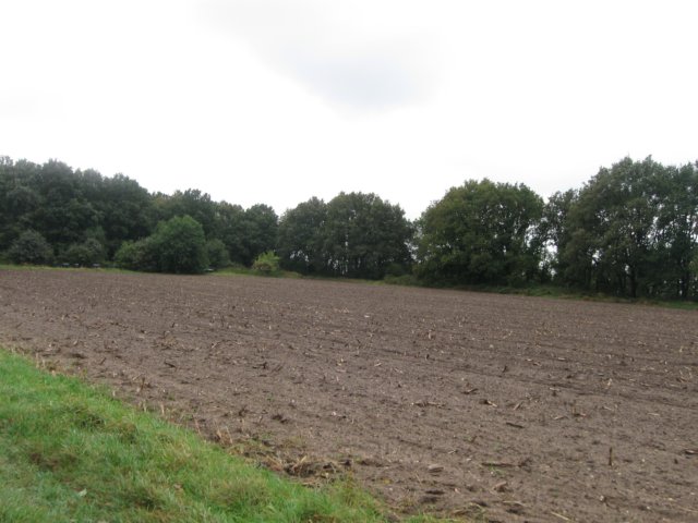 img_6356.jpg