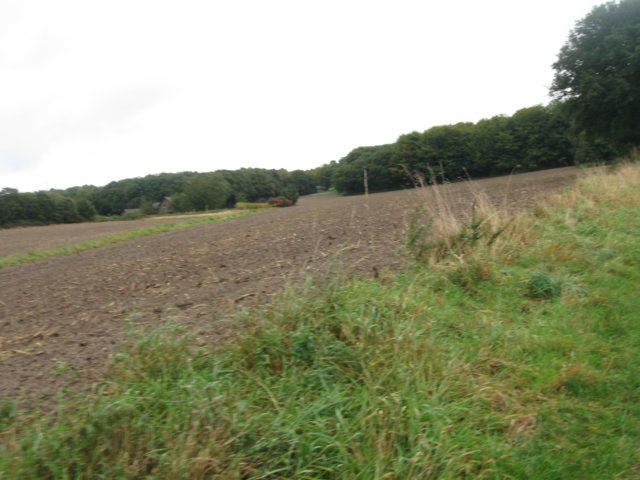 img_6357.jpg