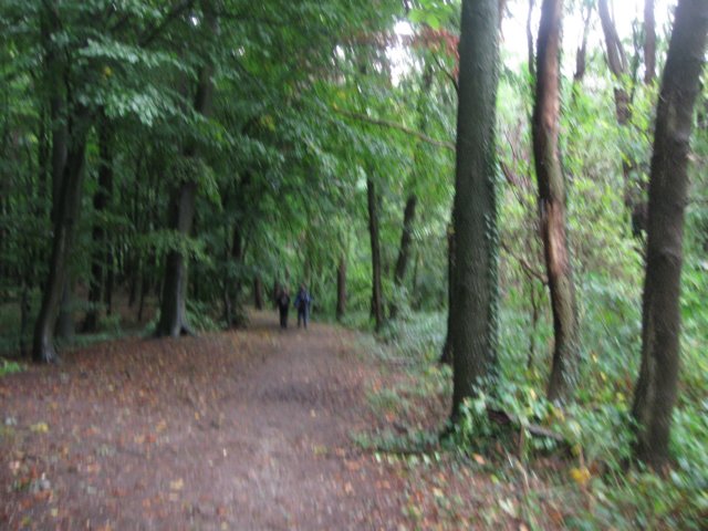 img_6361.jpg