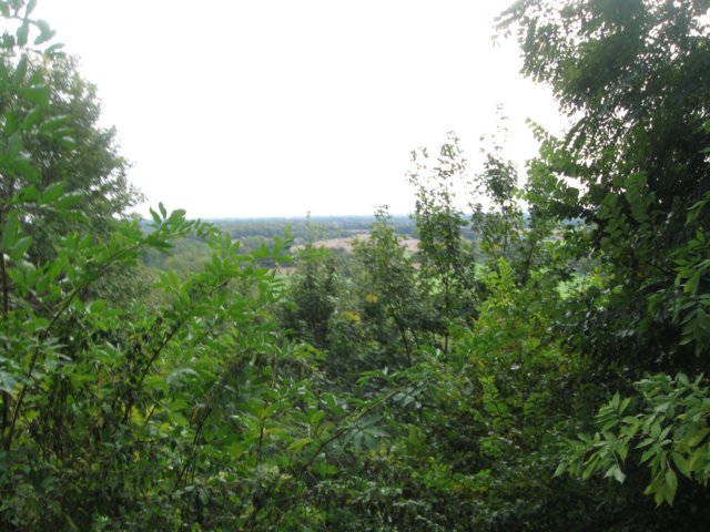 img_6364.jpg