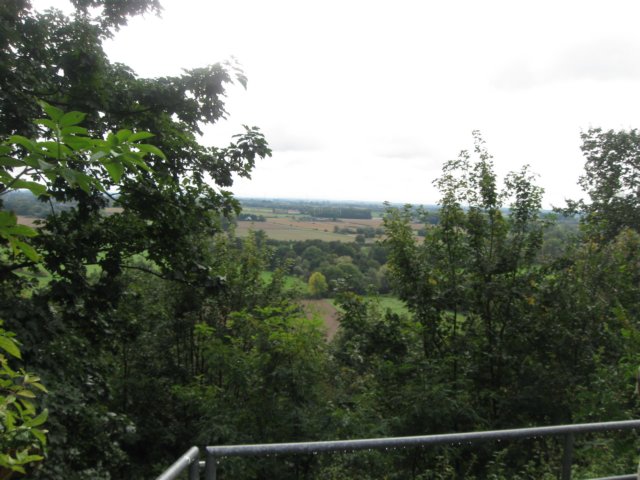 img_6365.jpg
