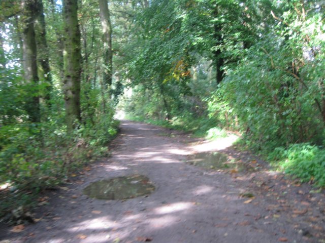 img_6383.jpg