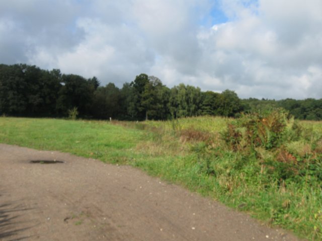 img_6386.jpg