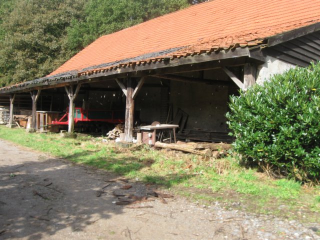 img_6388.jpg