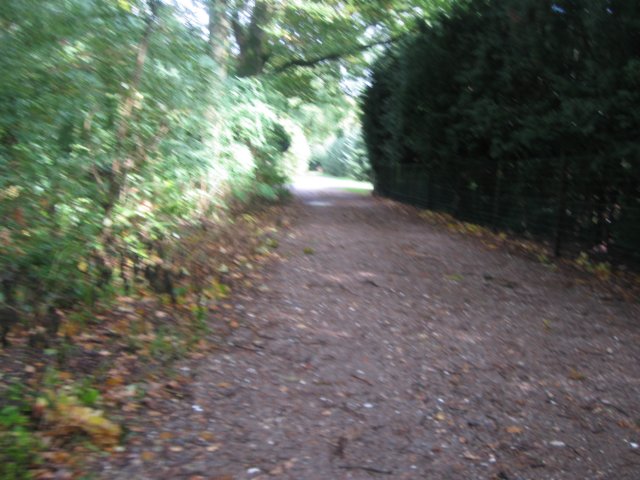 img_6396.jpg