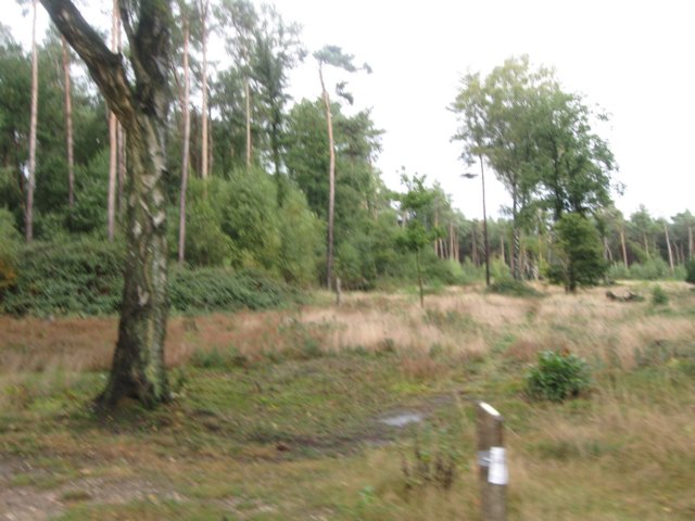 img_6398.jpg