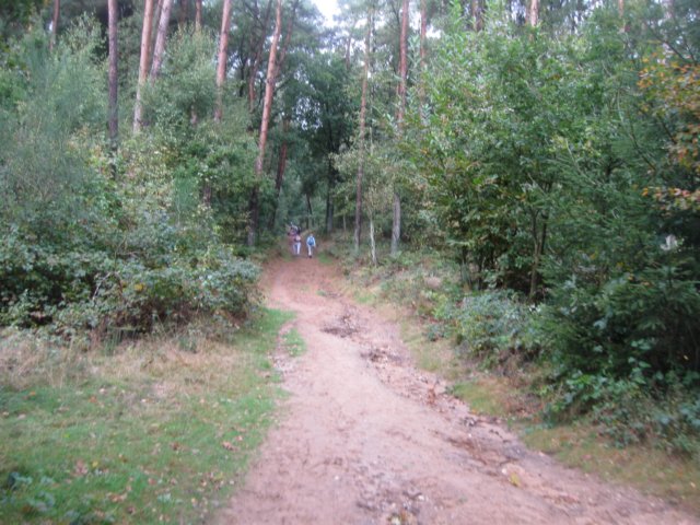 img_6400.jpg