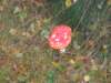 img_6401_small.jpg