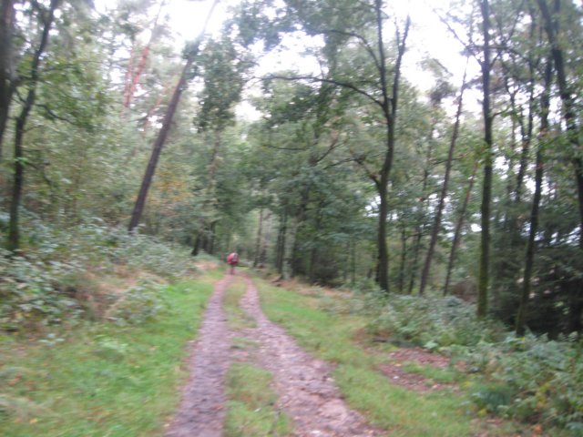 img_6404.jpg